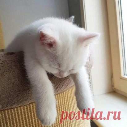 Мне срочно надо в отпуск! Нет сил моих больше...