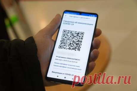 При каком условии отменят QR-коды? Глава Роспотребнадзора Анна Попова назвала условие отмены QR-кодов.