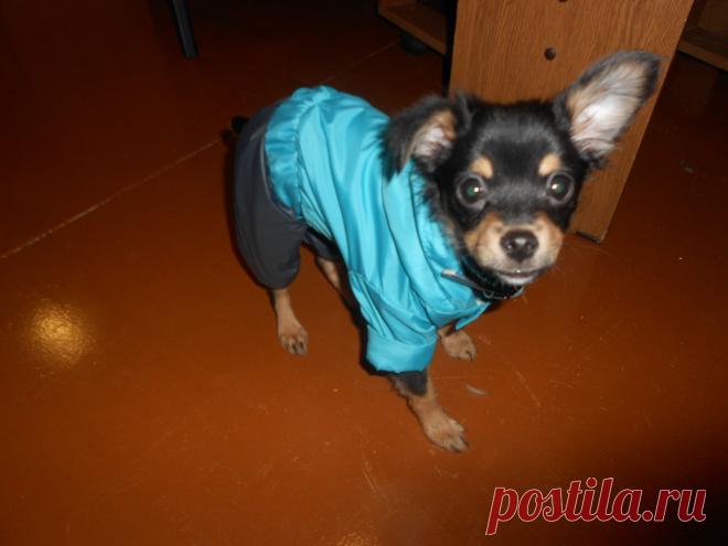 Наша любимица.