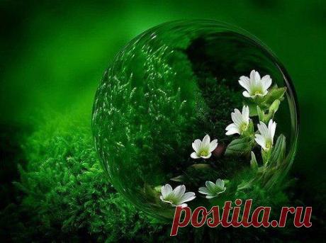 Все люди, посланные нам - это наше отражение. И посланы они для того, чтобы мы, смотря на этих людей, исправляли свои ошибки, и когда мы их исправляем, эти люди либо тоже меняются, либо уходят из нашей жизни.Борис Пастернак

Наведи порядок в мыслях – и увидишь мир другими глазами.