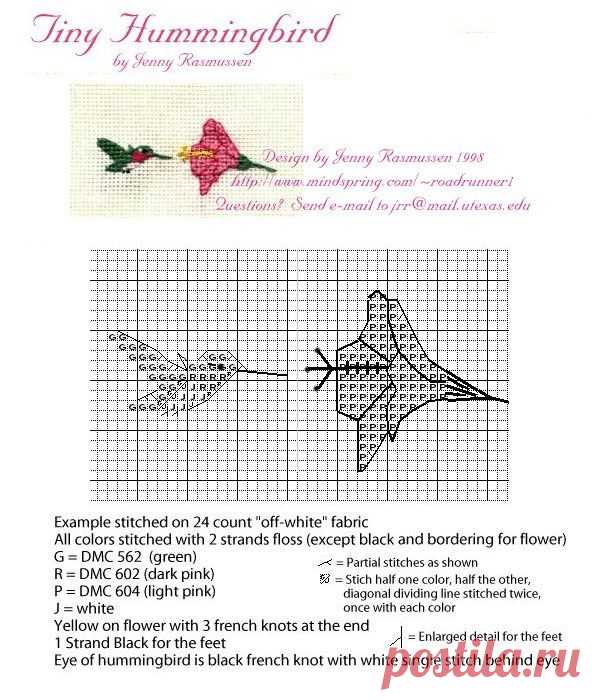 a cross stitch pattern with the words tiny hummingbird on it