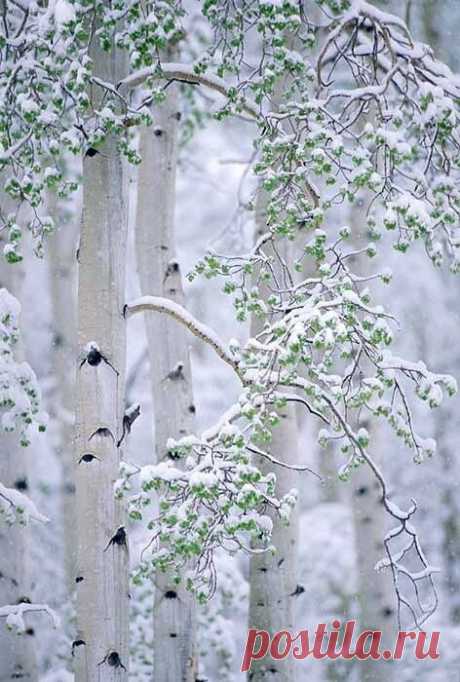 Боже, дай, пожалуйста, нам силы
Утром встретить новую зарю.
А за все, что есть у нас - СПАСИБО!
И за тех, кто есть - БЛАГОДАРЮ!
Татьяна Щербакова