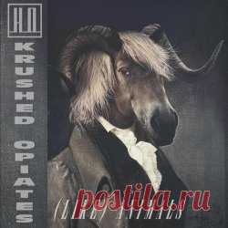 Krushed Opiates - (Like) Animals (2025) [Single] Artist: Krushed Opiates Album: (Like) Animals Year: 2025 Country: Marshall Islands Style: Industrial, EBM, Industrial Rock