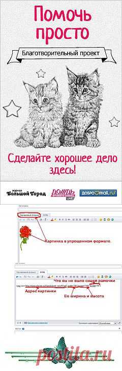 Блоги@Mail.Ru: (без названия)