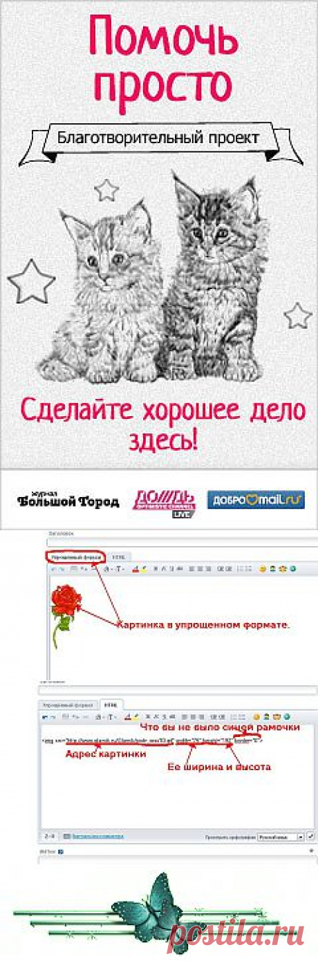 Блоги@Mail.Ru: (без названия)