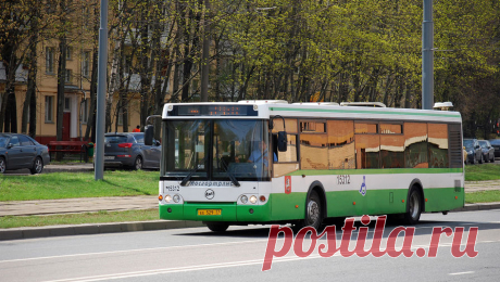 В российском городе пожаловались на мужчину, мастурбирующего в автобусе. Жители Новосибирска возмутились мужчиной, который мастурбировал в автобусе. Кадры извращенца прислал подписчик Telegram-канала &quot;АСТ-54 Black&quot;. &quot;В автобусе N39 был замечен мужчина, который без особого стеснения у всех на ...