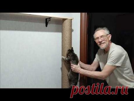 Строим домашнее "дерево" для котят. И испытываем!