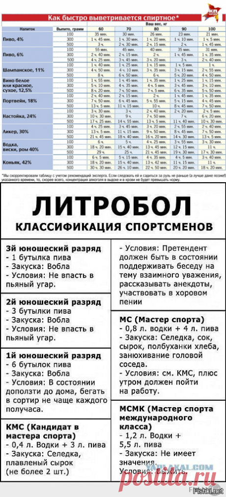 Продолжительность действия алкоголя на организм человека