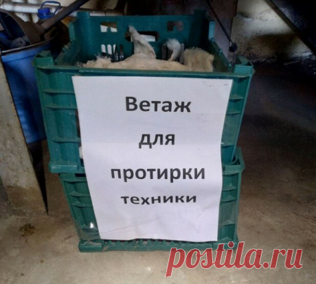 «Ёржык туалетный», «сильотка» и еще 16 смешных примеров знания русского языка взрослыми | Одна минутка | Яндекс Дзен