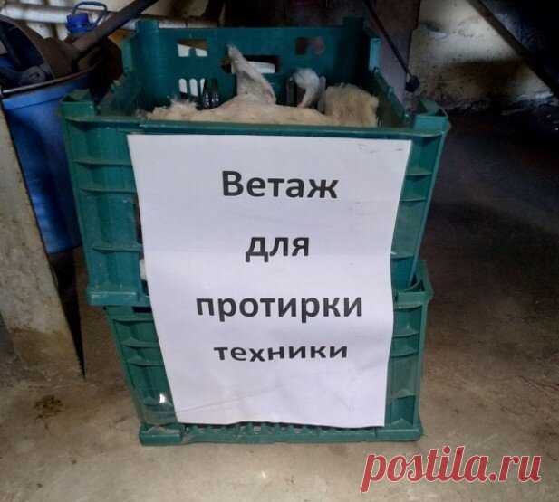 «Ёржык туалетный», «сильотка» и еще 16 смешных примеров знания русского языка взрослыми | Одна минутка | Яндекс Дзен