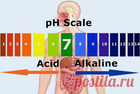 4 преимущества щелочной диеты Как считают приверженцы щелочной диеты, так называемые «кислотные» продукты нарушают кислотно-щелочной баланс организма, а «щелочные», наоборот, помогают его восстановить.