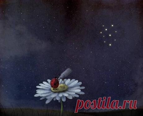 Не зацикливайся на том, что у тебя под ногами. Подними глаза.. Там тоже есть на что посмотреть.