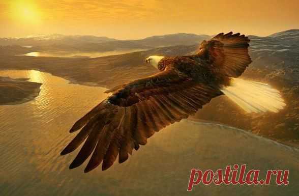 Нельзя соглашаться ползти, когда испытываешь желание парить.

Хелен Келлер