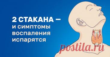 Щитовидка не халтурит и не шалит. Чудо-коктейль для тех, кто уже успел заметить проблему. Свари, наполни стаканчик и не болей. — Journal women❜s