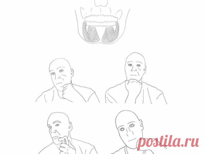 Аnti-age эффект: техника расслабления мышц лица от врача-нейробиолога