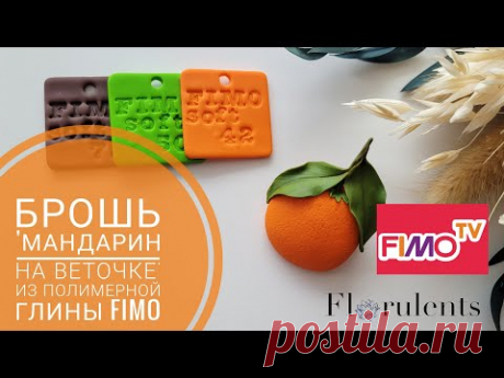Мастер-класс: Брошь &quot;мандарин на веточке&quot; из полимерной глины FIMO