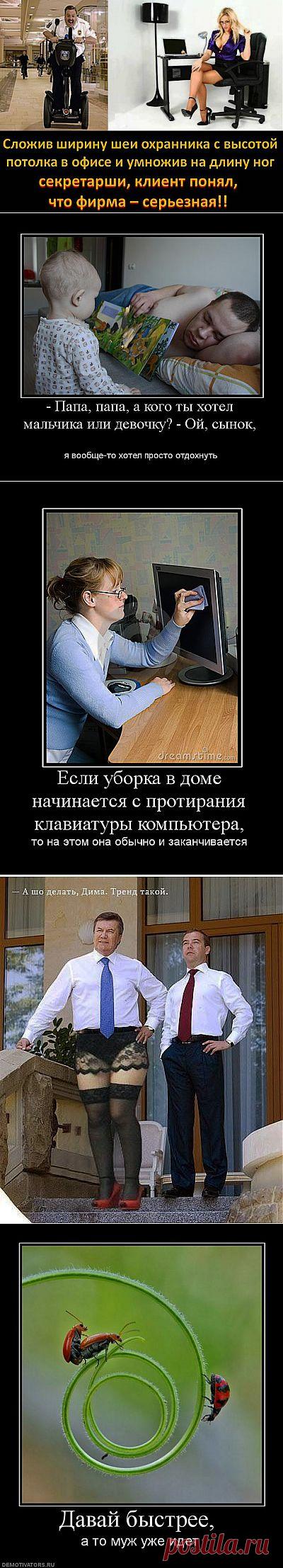 (+1) тема - Оба прекрасно проводили отпуск: "Он — на Лене, она — под Владимиром.‎" | ОБОРЖАКА ;)