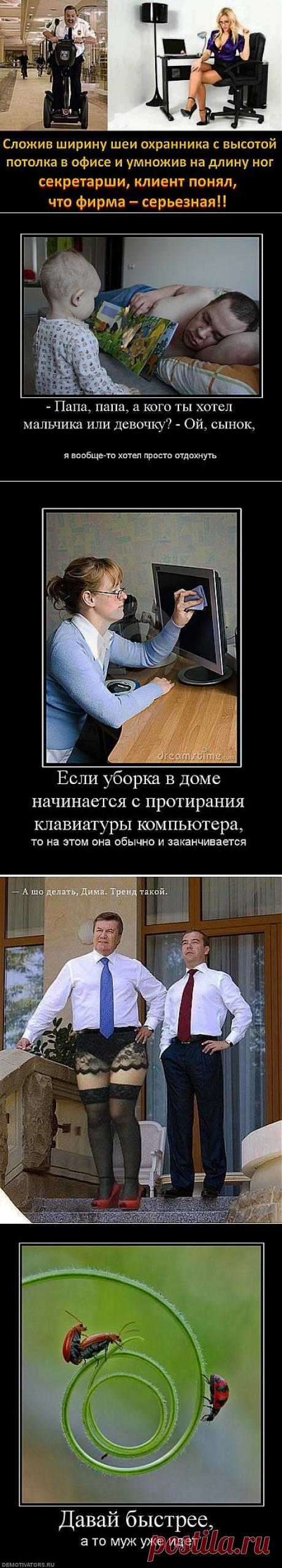 (+1) тема - Оба прекрасно проводили отпуск: &quot;Он — на Лене, она — под Владимиром.‎&quot; | ОБОРЖАКА ;)