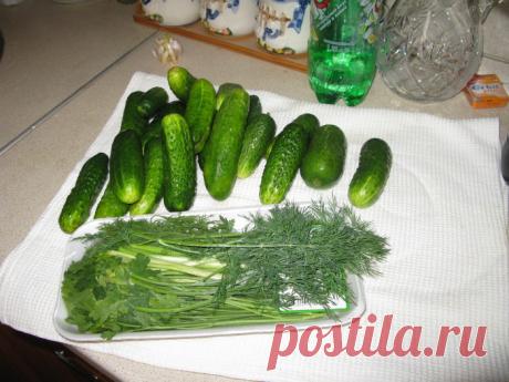 Рекомендую .