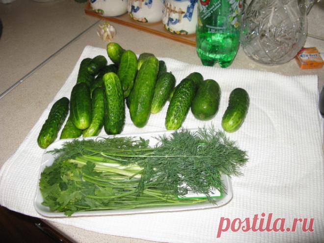 Рекомендую .