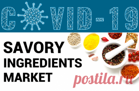 Savory Ingredients Market Size, Share | Global Report, 2026