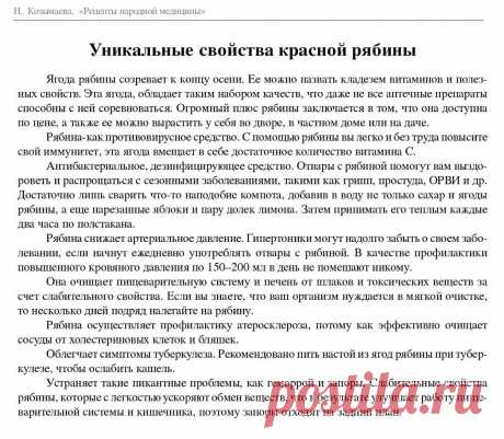 Уникальные свойства красной рябины