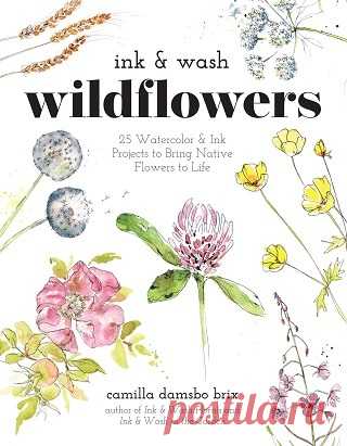 Ink & Wash Wildflowers: 25 Watercolor & Ink Projects to Bring Native Flowers to Life 2025