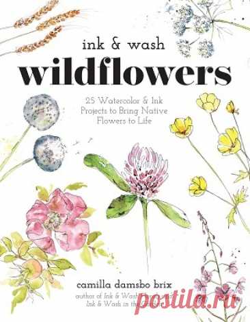 Ink & Wash Wildflowers: 25 Watercolor & Ink Projects to Bring Native Flowers to Life 2025