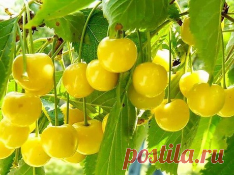 Интересные новости