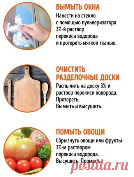 Институт домохозяек