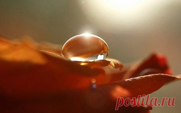 Пейте из каждого Мгновения Жизни... Ибо не прожитая жизнь порождает печали… _ Царь Соломон