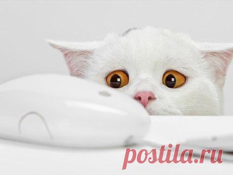 Новости