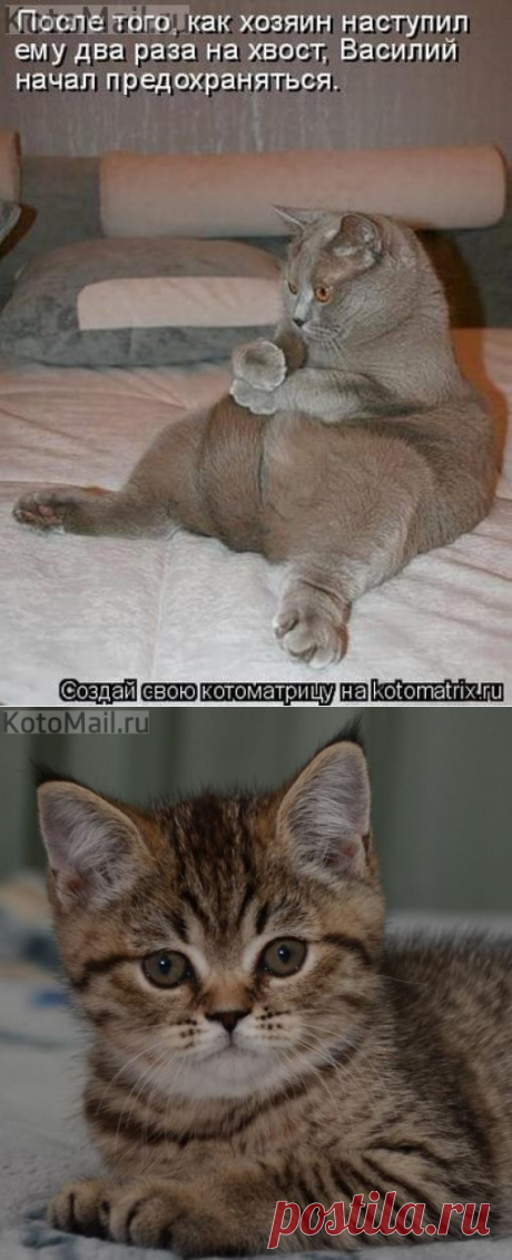 На выдумки богат | KotoMail.ru