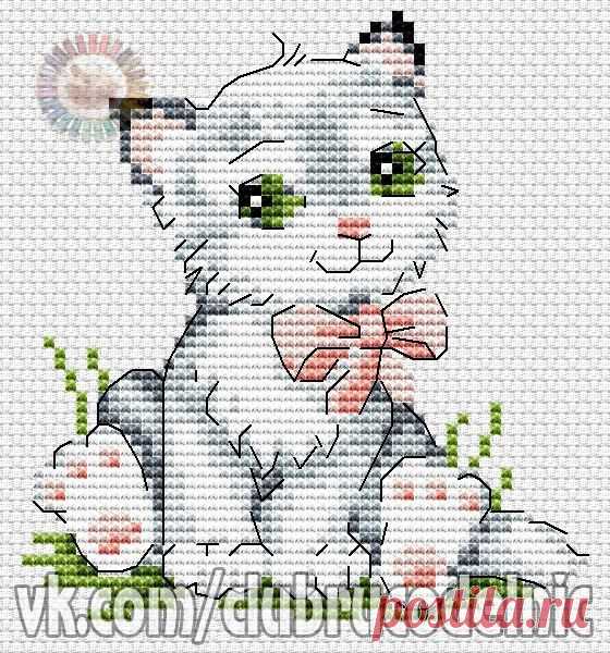Оксана Дюкова