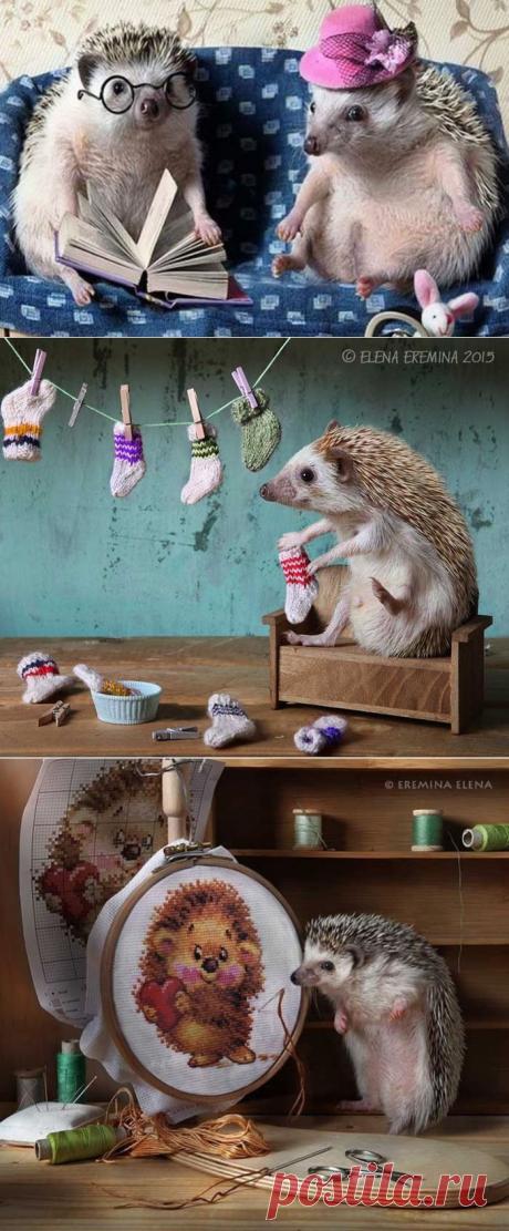 Ну, это ли не мило ?