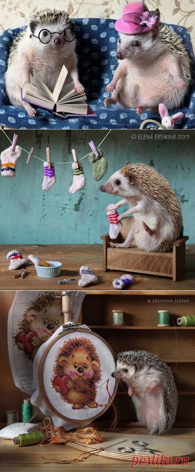 Ну, это ли не мило ?