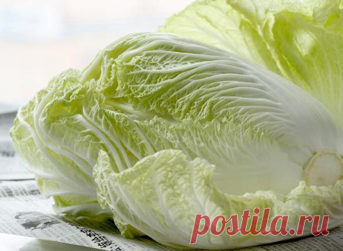 Ранняя зелень из собственной теплицы