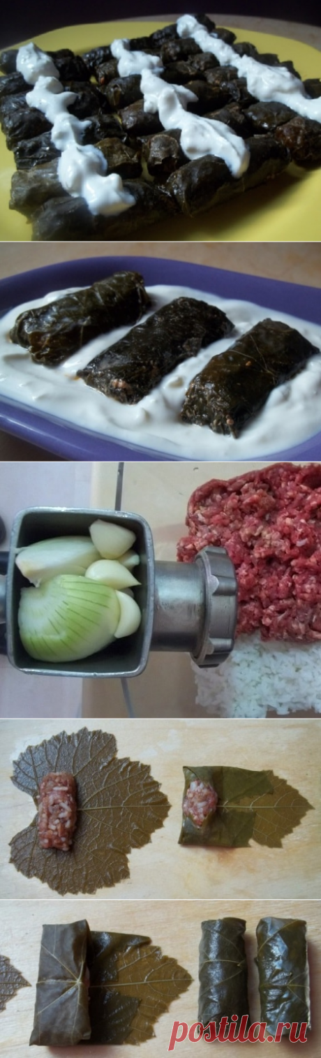 Долма из виноградных листьев по-грузински - Грузинская кухня