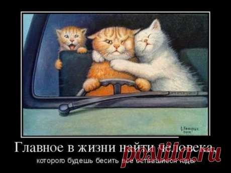 Трудный поиск