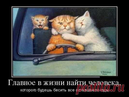 Трудный поиск