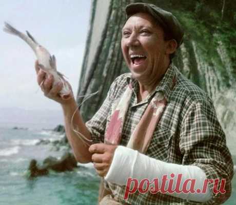 [quiz] Угадай культовый фильм по шутке — Тесты | 7
из 8
Киноман со стальным чувством юмора