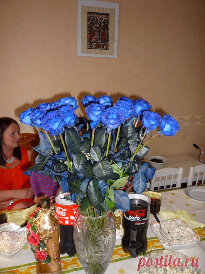 любимые цветы)