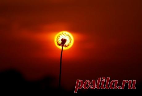 30 моментов, которые удается поймать на фото один раз из тысячи