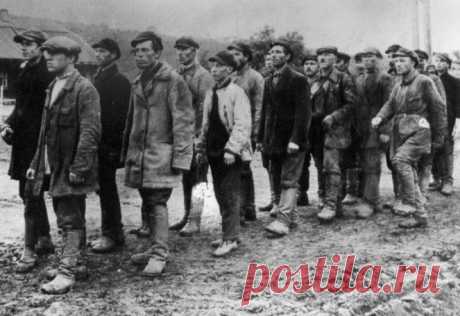 «Чёрнопиджачники»: каких советских солдат бросали в бой без оружия У этой категории военнослужащих есть еще одно название – «черная пехота», «чернопиджачники» («черносвитники», от украинского «свитка» – пиджак, верхняя одежда, как правило, темного цвета). Если историки до сих пор спорят о численности жертв строевых военнослужащих в РККА за время Великой Отечественной войны, то количество павших в боях «чернопиджачников» и подавно не поддается подсчету.