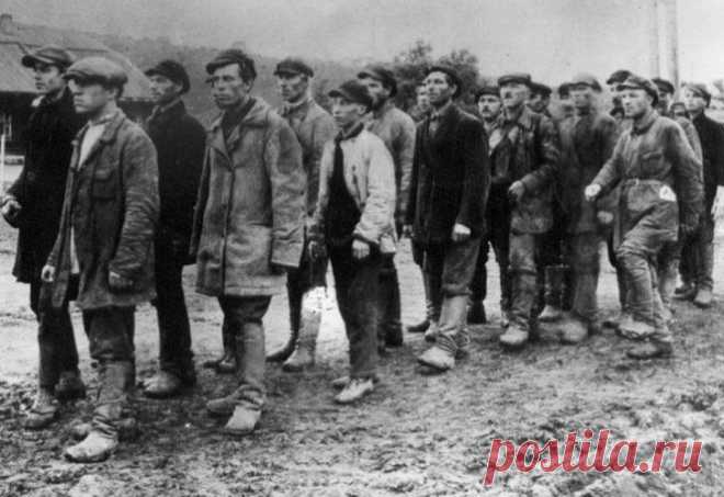 «Чёрнопиджачники»: каких советских солдат бросали в бой без оружия У этой категории военнослужащих есть еще одно название – «черная пехота», «чернопиджачники» («черносвитники», от украинского «свитка» – пиджак, верхняя одежда, как правило, темного цвета). Если историки до сих пор спорят о численности жертв строевых военнослужащих в РККА за время Великой Отечественной войны, то количество павших в боях «чернопиджачников» и подавно не поддается подсчету.