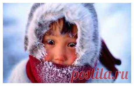 РЕЦЕПТЫ ЗДОРОВЬЯ | Здоровье.  Красота.  Гармония.
Что делать при обморожении. Есть еще большая вероятность получить обморожение