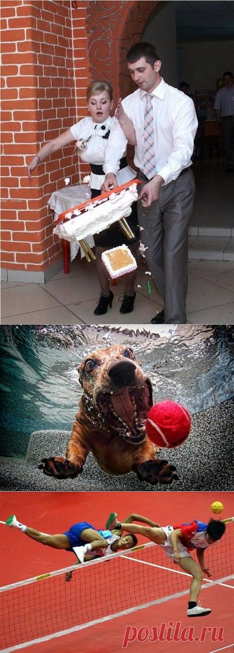 Фотографии, сделанные в нужный момент / Писец - приколы интернета