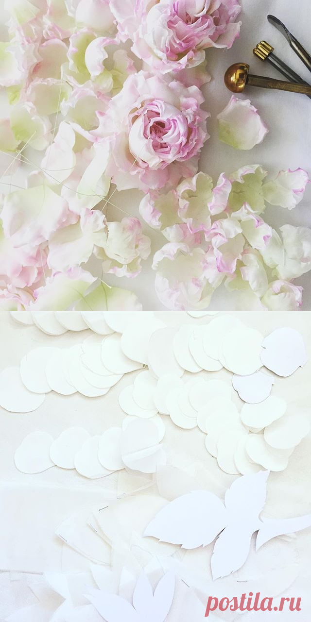 Solvita Gailite (@flower_atelier_official) • Фото и видео в Instagram