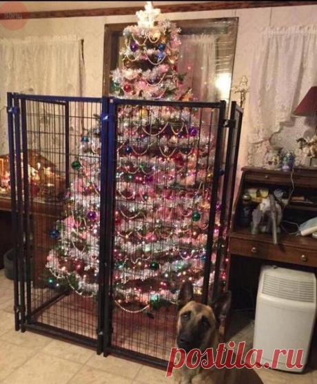 Похоже, кому-то здесь не доверяют
https://pp.userapi.com/c543107/v543107850/48fc6/rflwL..