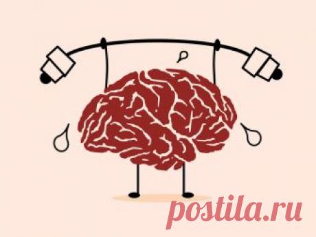 7 простых физических упражнений, которые развивают мозг и сохраняют его работоспособность до самой старости. | Professionali.ru